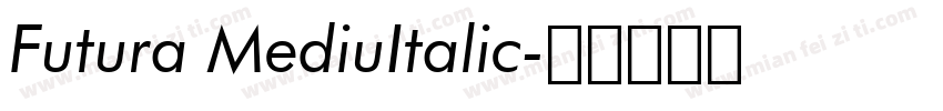 Futura MediuItalic字体转换